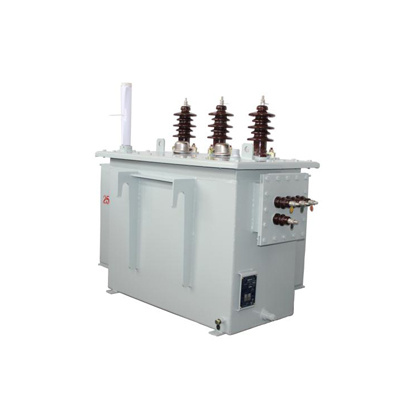 Oil-immersed distribution transformer